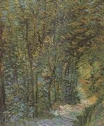 Vincent Van Gogh, Path in the Woods (nn04)